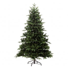 Sapin nordman vert H 300 cm...